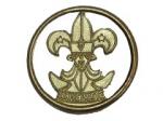 Distintivo de Chapéu
