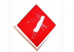 Especialidade TÉCNICA