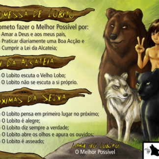 Poster Lei do Lobito